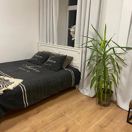 公寓 Trznice 奥洛穆茨